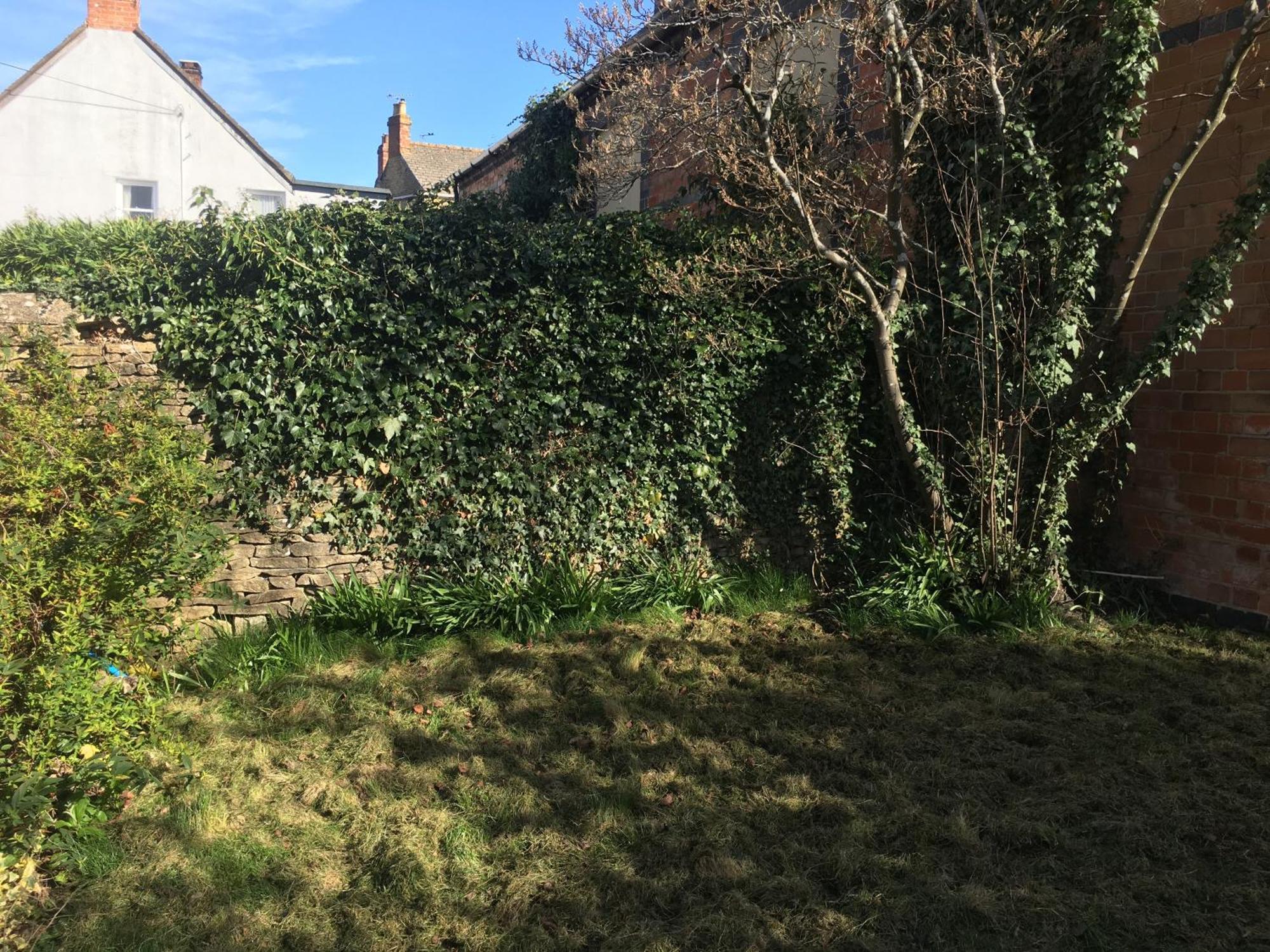 Jasmine Cottage تشارلبوري المظهر الخارجي الصورة